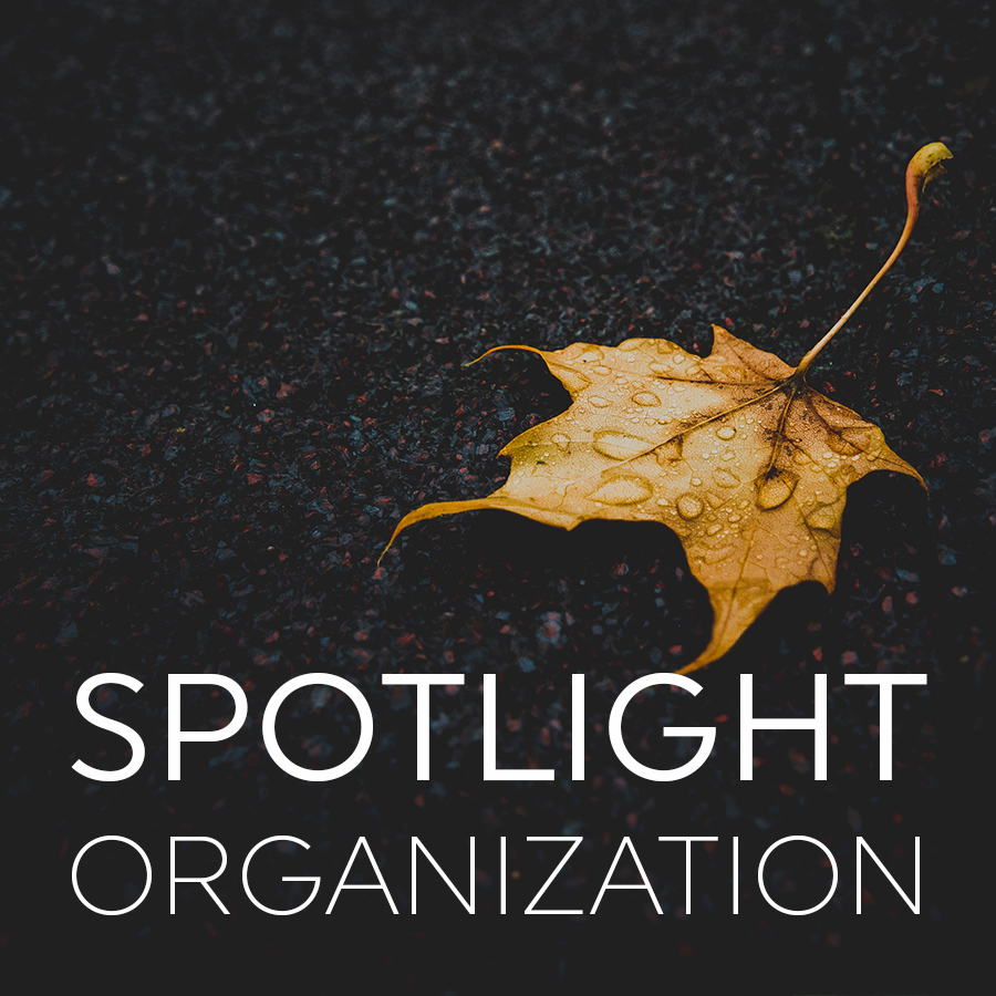 October Spotlight: Methodist Foster Care